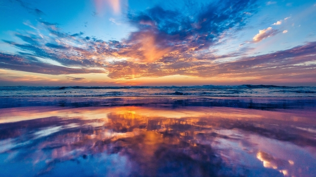 安博体育公司：打篮球练腿器材