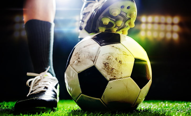 力量训练健身器材 为你塑造健美体魄提供有力支持